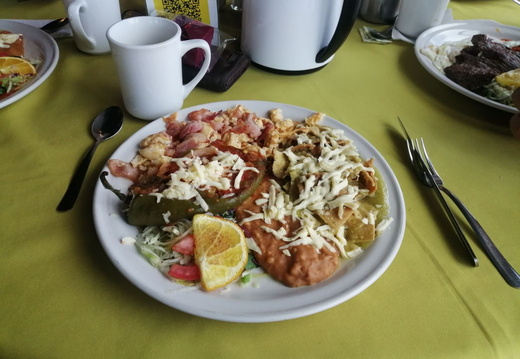 Food & Drinks
