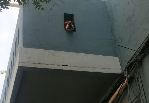 photo 9 2024-09-09 13-16-15